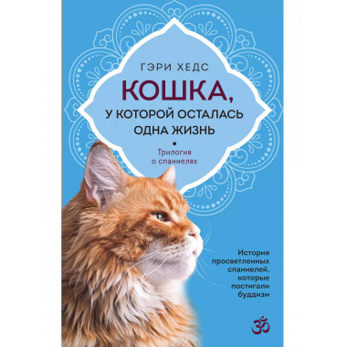 Кошка, у которой осталась одна жизнь.