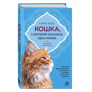 Кошка, у которой осталась одна жизнь.