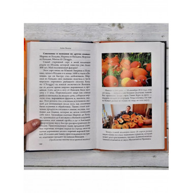 Тыква. Выращиваем, ухаживаем и едим.