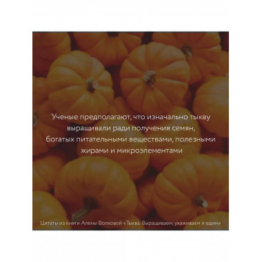 Тыква. Выращиваем, ухаживаем и едим.