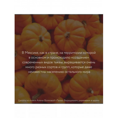 Тыква. Выращиваем, ухаживаем и едим.