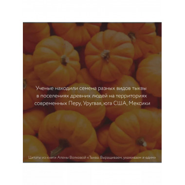 Тыква. Выращиваем, ухаживаем и едим.