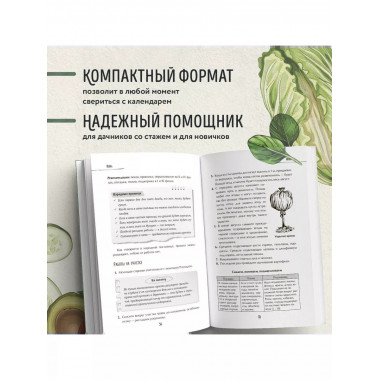 Лунный календарь для разумных дачников 2025