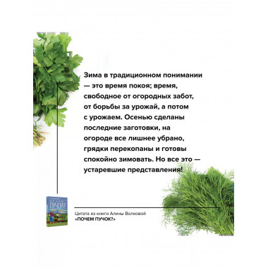 Почем пучок. Как выращивать свою зелень.