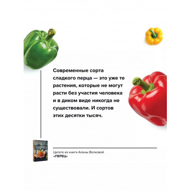 Перец. Выращиваем, ухаживаем и едим.
