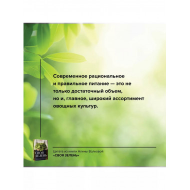 Своя зелень. Выращиваем, ухаживаем и едим.