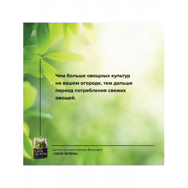 Своя зелень. Выращиваем, ухаживаем и едим.