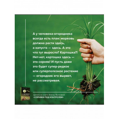 Сорняки под контролем. Избавляемся от нежелательных соседей.