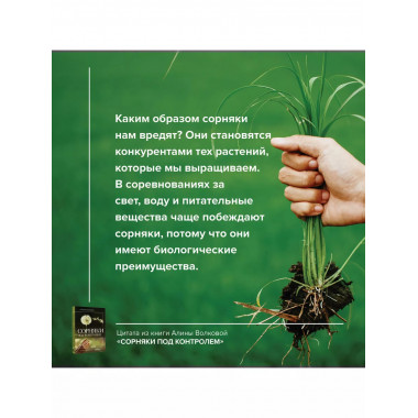 Сорняки под контролем. Избавляемся от нежелательных соседей.