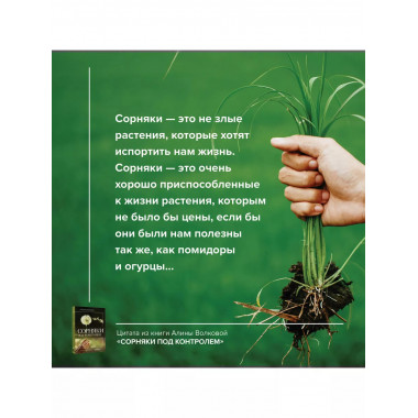 Сорняки под контролем. Избавляемся от нежелательных соседей.