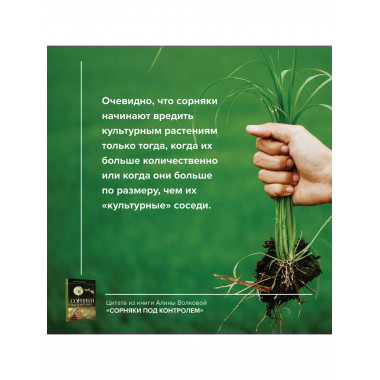 Сорняки под контролем. Избавляемся от нежелательных соседей.