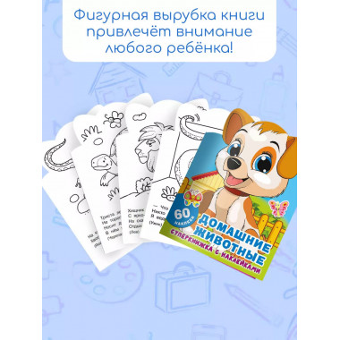Домашние животные.