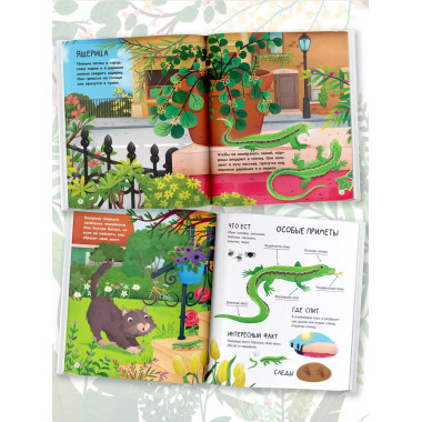 Городские животные.