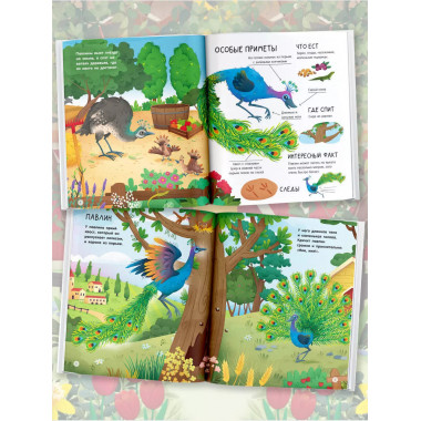 Животные на ферме.