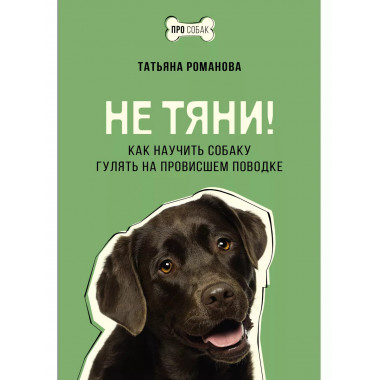 Не тяни! Как научить собаку гулять на провисшем поводке.