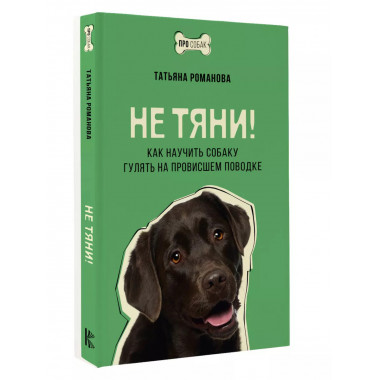 Не тяни! Как научить собаку гулять на провисшем поводке.