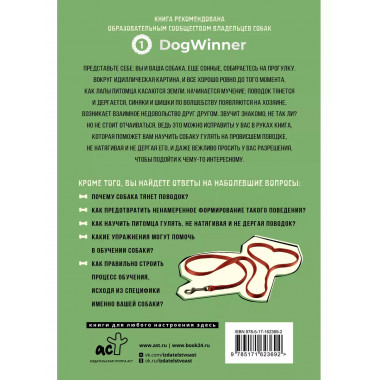 Не тяни! Как научить собаку гулять на провисшем поводке.