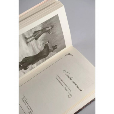 Евгений Онегин.