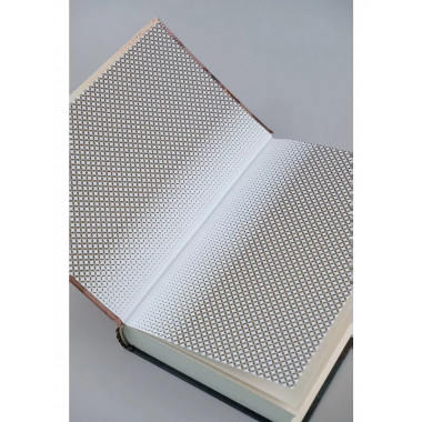 Евгений Онегин.