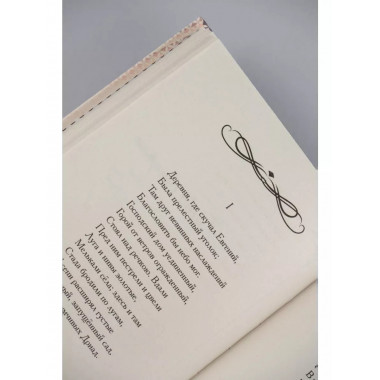 Евгений Онегин.