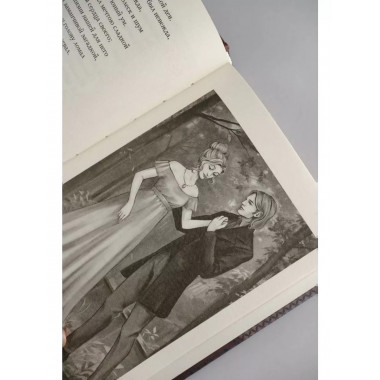 Евгений Онегин.