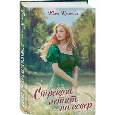 Стрекоза летит на север.