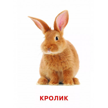 Развивающие карточки Домана. 0-3 лет.