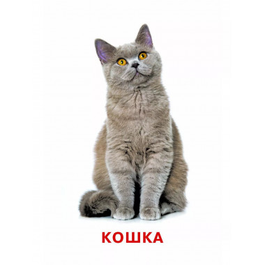 Развивающие карточки Домана. 0-3 лет.