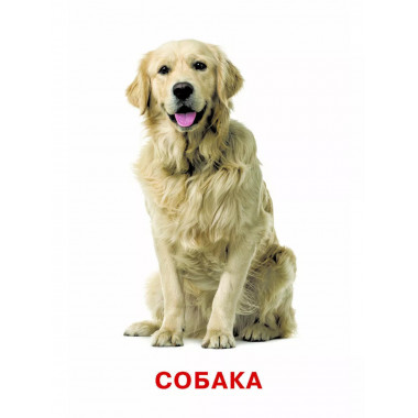 Развивающие карточки Домана. 0-3 лет.
