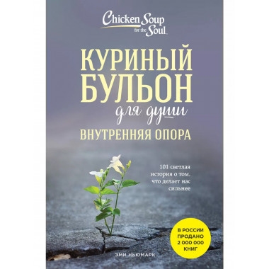 Куриный бульон для души.