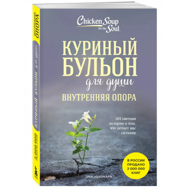 Куриный бульон для души.