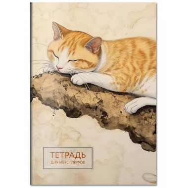 Тетрадь для иероглифов (рыжий котик).
