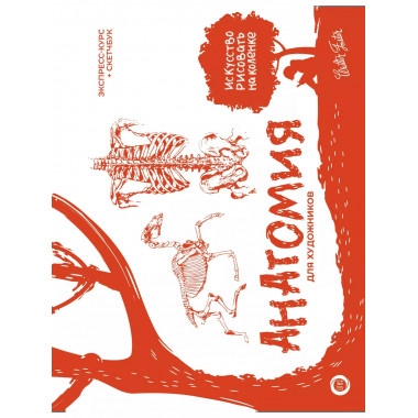 Анатомия для художников. Экспресс-курс + скетчбук.