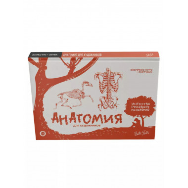 Анатомия для художников. Экспресс-курс + скетчбук.