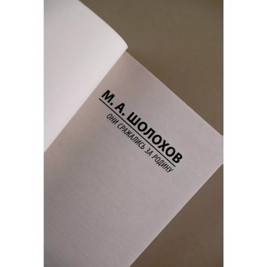 Они сражались за Родину.