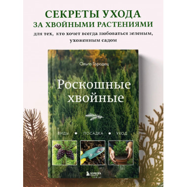 Роскошные хвойные. Виды, посадка, уход.