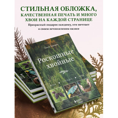 Роскошные хвойные. Виды, посадка, уход.