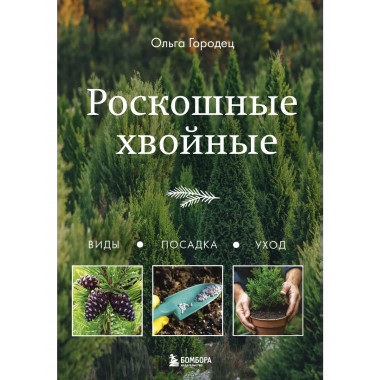 Роскошные хвойные. Виды, посадка, уход.
