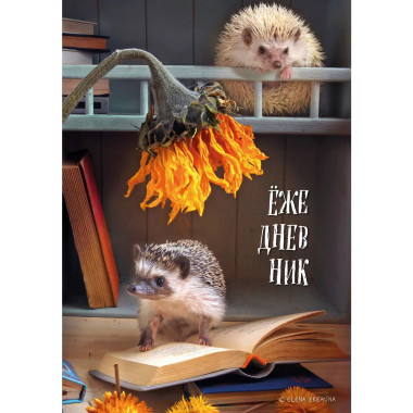 Ёжедневник. Блокнот для людей и ежей (книги) (А5, 72 л.).