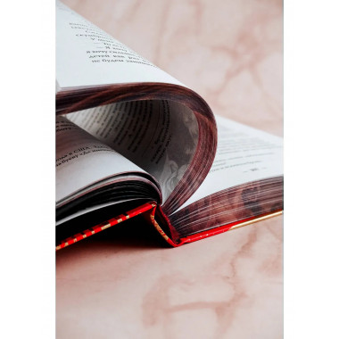 Мой темный Ромео. Специальное издание.