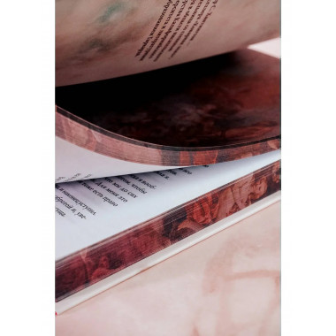 Мой темный Ромео. Специальное издание.