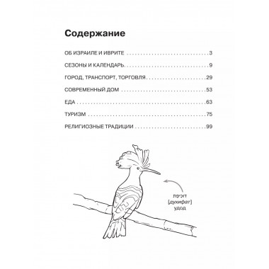Иврит: визуальный словарь-раскраска.