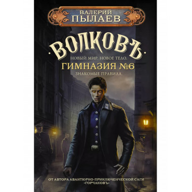 Волков. Гимназия №6.