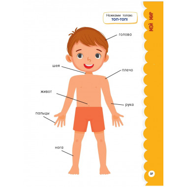 Годовой курс занятий для детей от 1 до 3 лет. 64 наклейки.