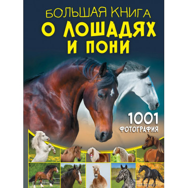 Большая книга о лошадях и пони. 1001 фотография.