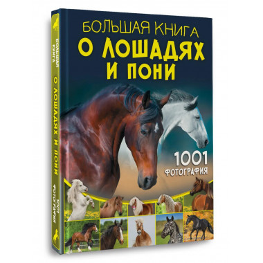 Большая книга о лошадях и пони. 1001 фотография.