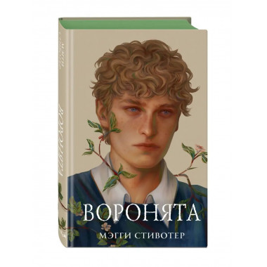 Вороновый круг. Воронята (#1) (подарочное оформление).