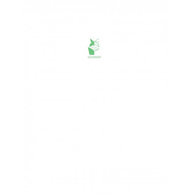 Новогодние сказки.