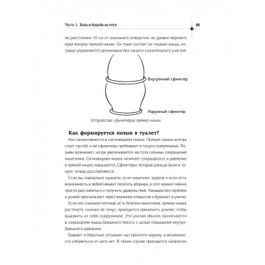 Кишечник работает. Мы отдыхаем.