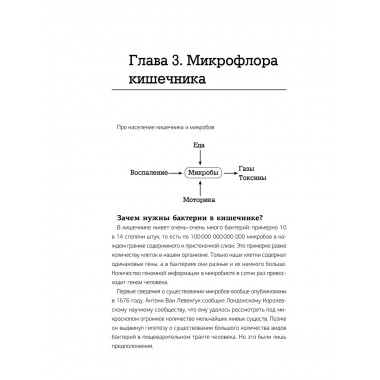 Кишечник работает. Мы отдыхаем.